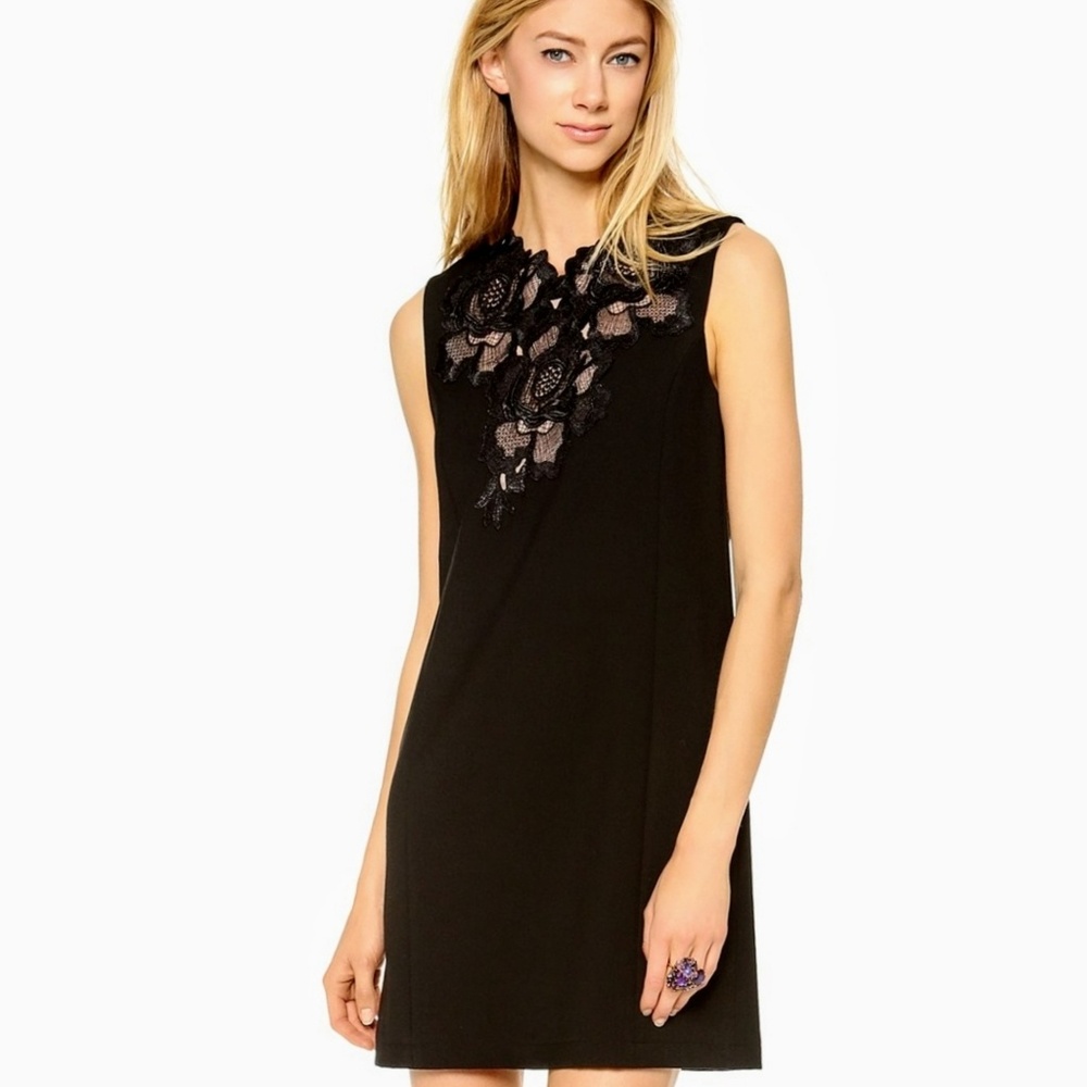 BCBG MAXAZRIA Valentine Lace-Applique Dress